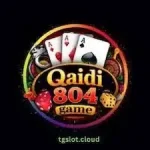 Qaidi804 Game Logo